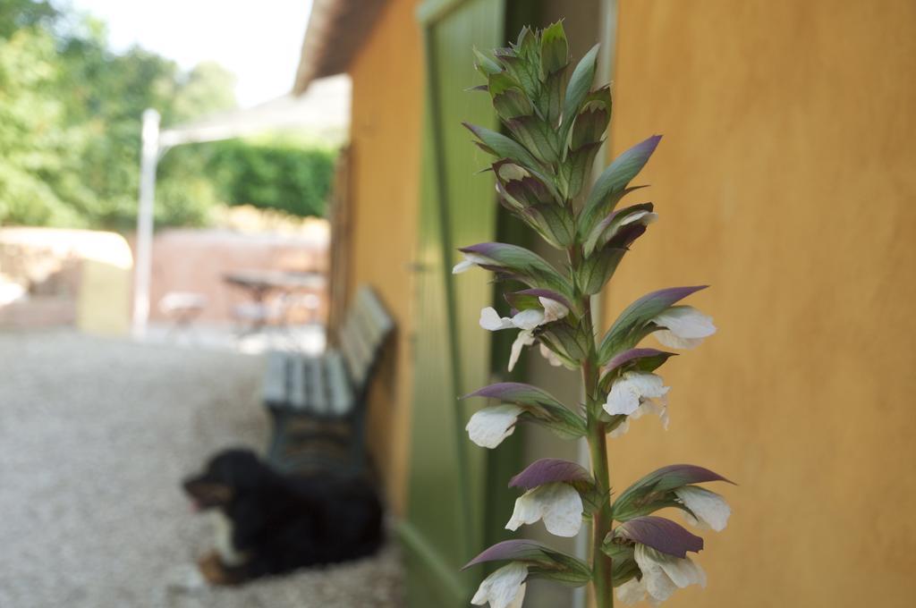 Villa Le Petit Bacalan Mormoiron Zimmer foto